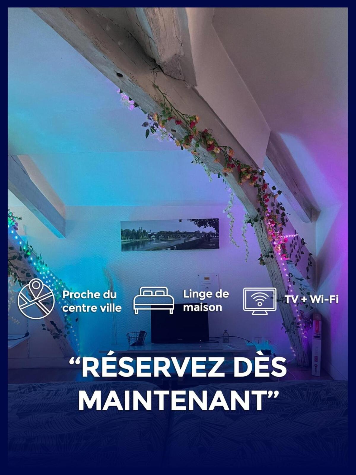 O'jade Du Faubourg I Free Parking I Tv Wifi * Orleans