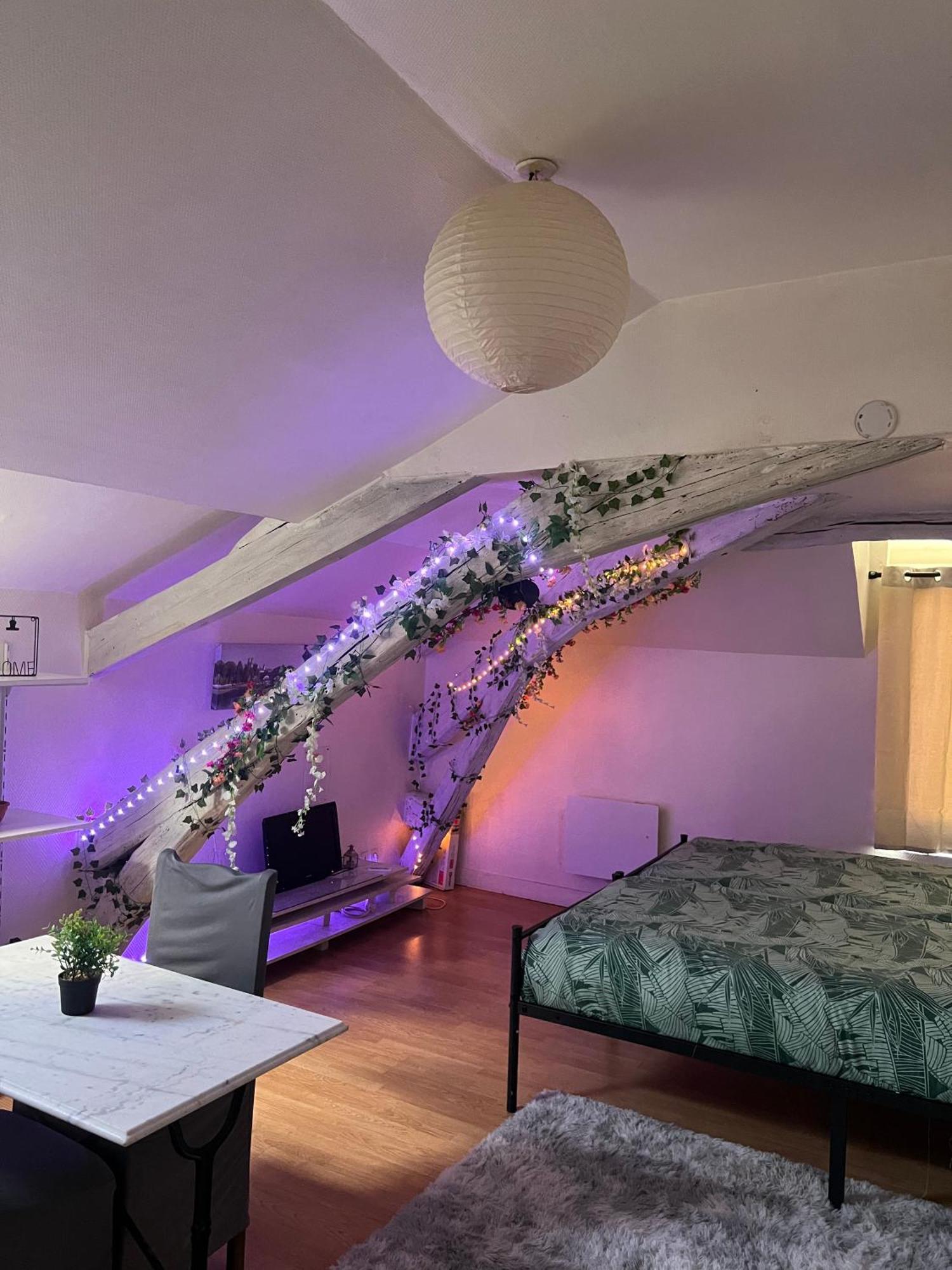 Apartment O'jade Du Faubourg I Free Parking I Tv Wifi Orleans